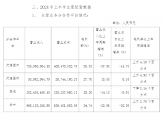 麗人麗妝2024中期營收